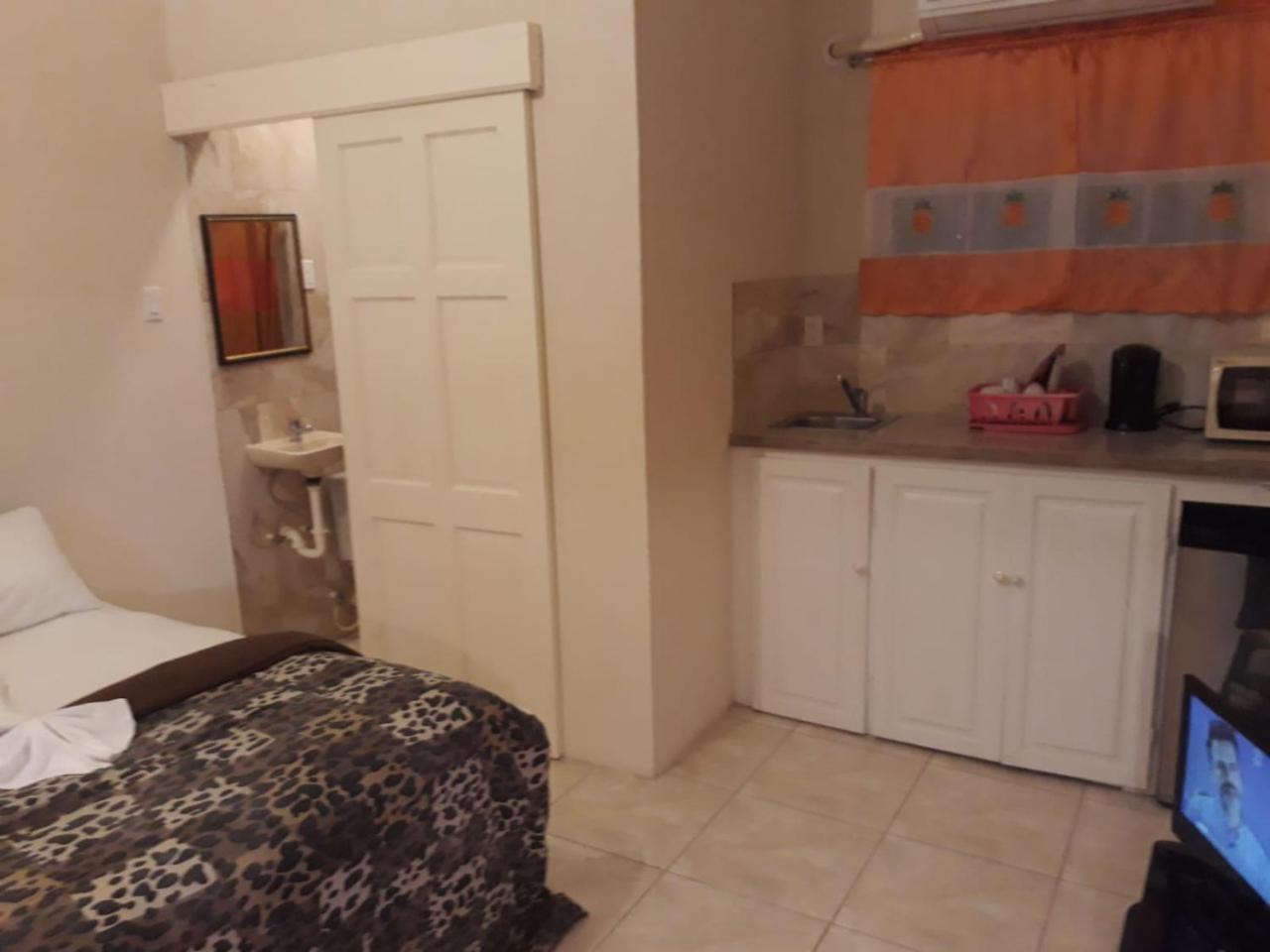 Haven House Apartments Christ Church Esterno foto