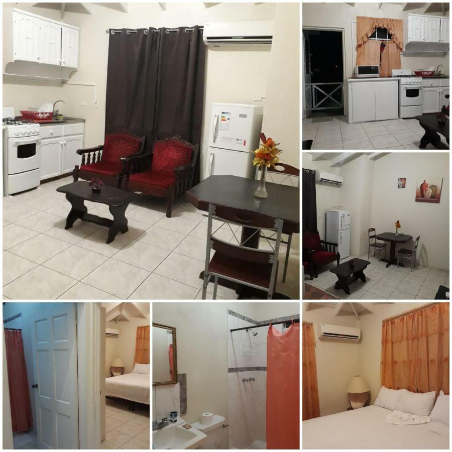 Haven House Apartments Christ Church Esterno foto